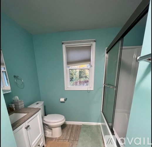 31 Tunxis Lane 2 Beds Apartment for Rent - Photo gallery 4
