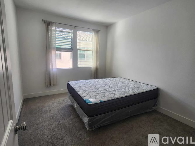 A bedroom with a single bed and carpeted floor.