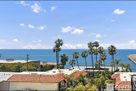 A view of a coastal area with houses and palm trees.