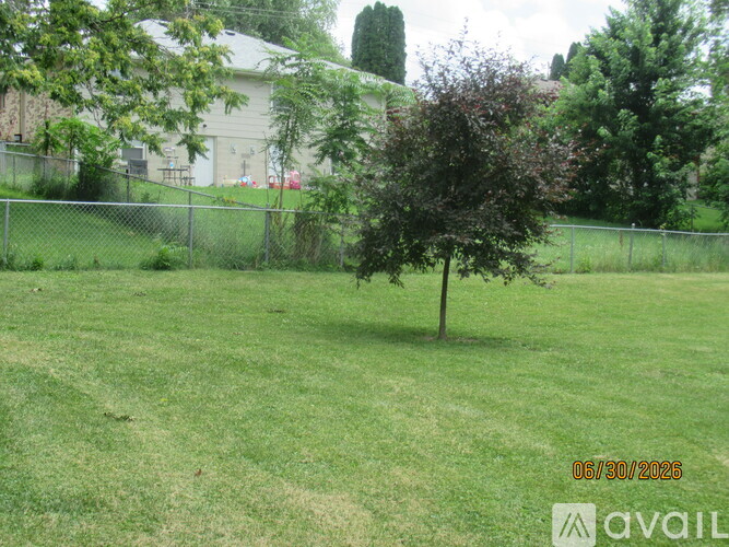 A tree in a grassy field with a house in the background.