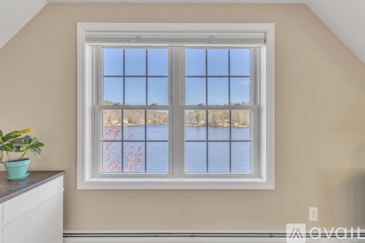 A window with a view of a body of water and trees.