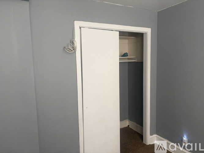 A white door is open to a small closet.