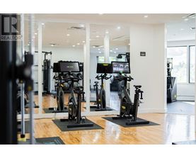 A gym with a row of stationary bikes.