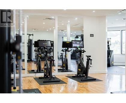 A gym with a row of stationary bikes.