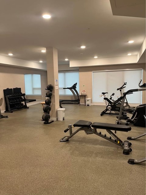 A gym with a variety of equipment including weights and a rowing machine.