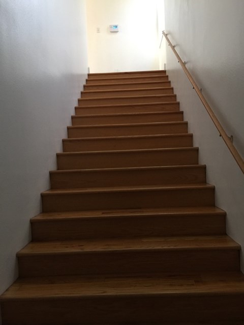 2309 Saint Thomas Street 3 Beds Apartment for Rent