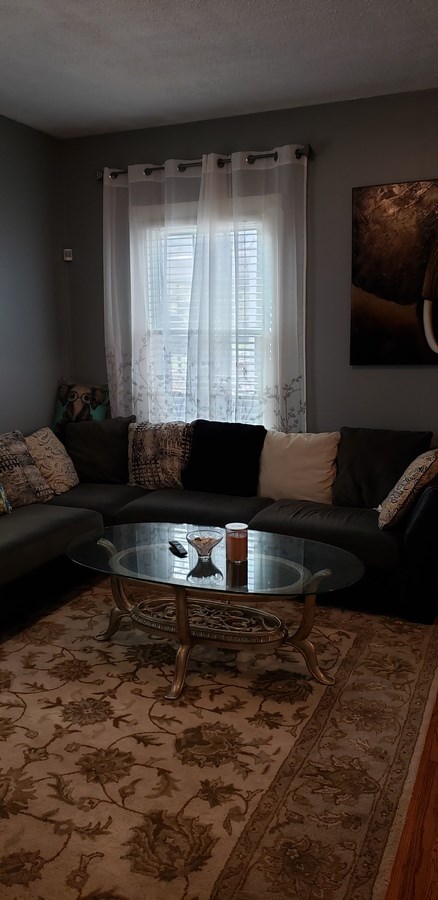 A living room with a couch and a coffee table.