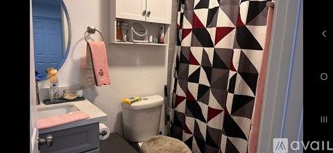 A bathroom with a toilet, sink, and shower curtain.