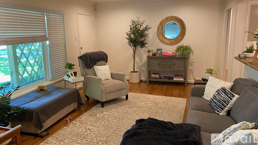 A living room with a grey couch, a chair, a bed, and a small tree.