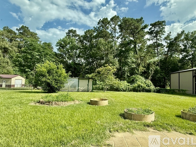 A sunny day in a yard with a fence, trees, and a shed.