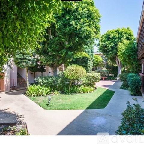 A tree-lined pathway leads to a building entrance.