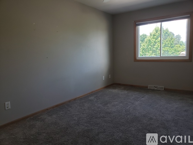 A room with a carpeted floor and a window showing trees outside.