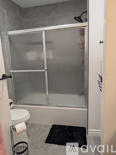 A bathroom with a walk-in shower and toilet.