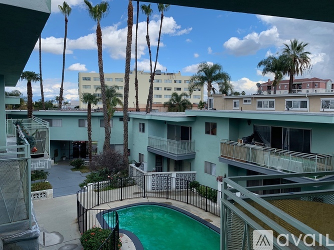 A pool surrounded by a fence and palm trees.