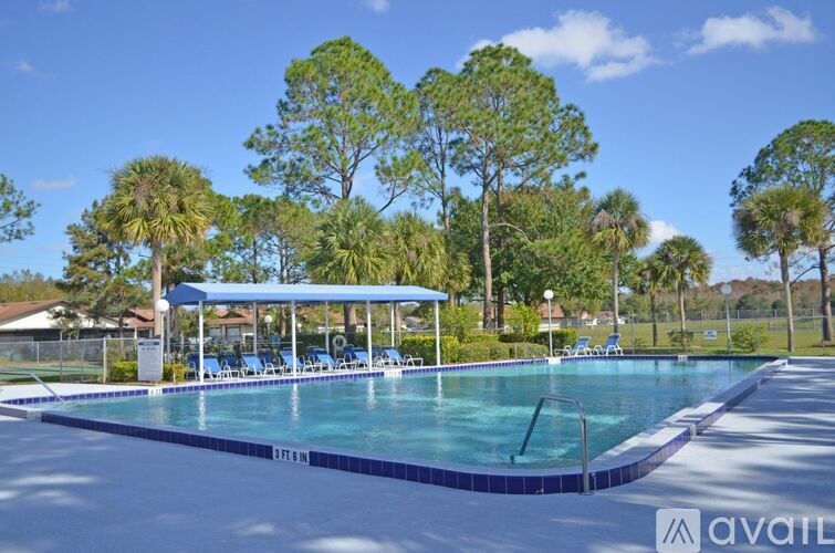 A swimming pool surrounded by trees and a blue canopy.