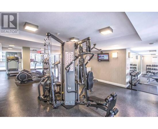 A gym with a variety of equipment including a treadmill, weights, and a television.