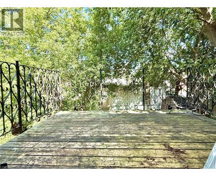 A wooden bridge with metal railings leads through a grove of trees.