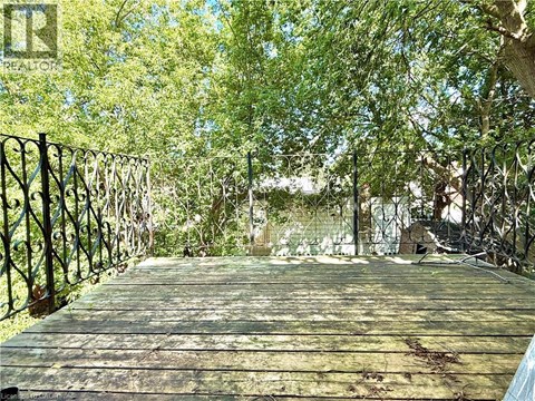 A wooden bridge with metal railings leads through a grove of trees.