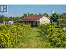 A house with a red roof is surrounded by greenery.