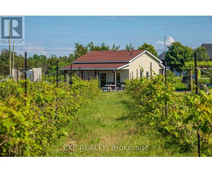 A house with a red roof is surrounded by greenery.