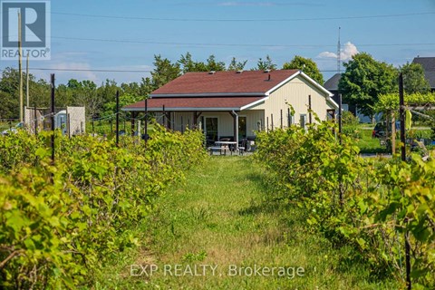 A house with a red roof is surrounded by greenery.