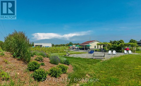 A sunny day at a park with a picnic table and a green lawn.