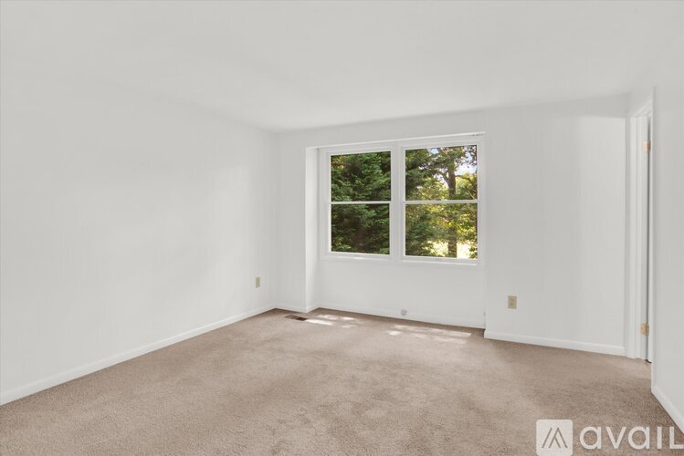 A room with a carpeted floor and a window showing trees outside.