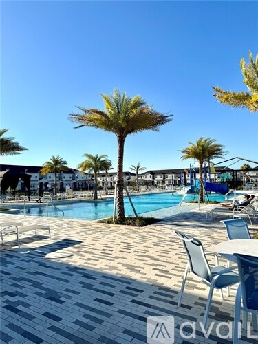 A pool area with a palm tree and chairs.