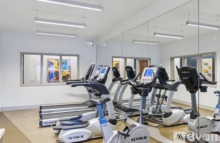 A gym with a row of exercise bikes.