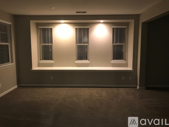 A room with two windows and a carpeted floor.