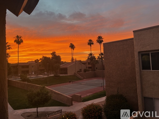 A sunset view from a window overlooking a tennis court and palm trees.