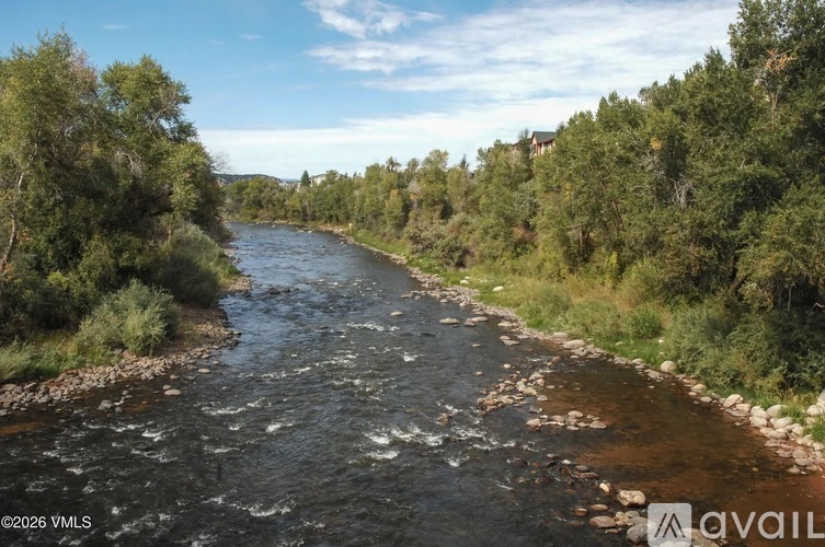 A river flows through a green forest.