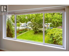 A window with a view of a green lawn and trees.