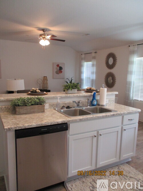 A kitchen with a stainless steel dishwasher and a sink with a plant on the counter.