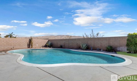 A pool surrounded by a concrete wall and a few plants.