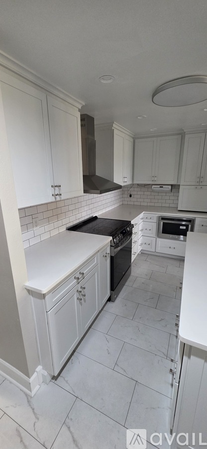 4141 Bayshore Boulevard 3 Beds Condo for Rent - Photo gallery 5