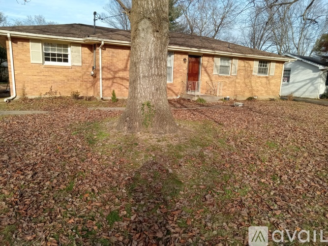 A tree stands in the front yard of a brick house.