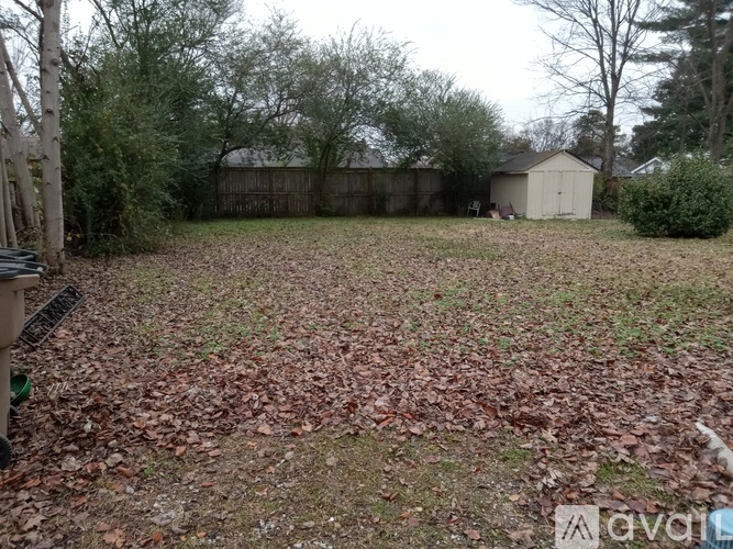 A backyard with a shed and a fence.