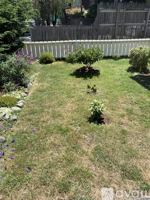 1065 5th Street 3 Beds Single Family Home for Rent - Photo gallery 4