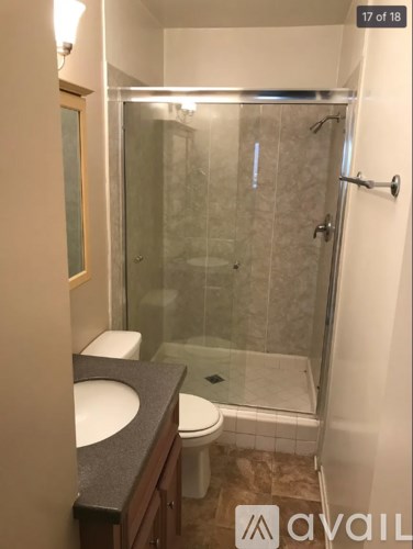 A bathroom with a walk in shower and a toilet.