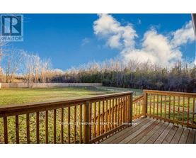 A wooden deck overlooks a grassy field.
