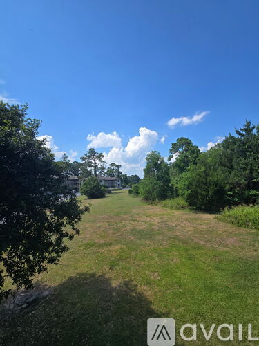 A grassy field with trees and a cloudy sky.