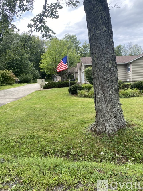 A tree stands in a grassy area in front of a house with an American flag.