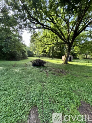 A grassy field with a tree and a small building in the background.