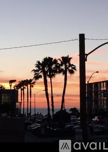 A sunset view with palm trees and a street light.