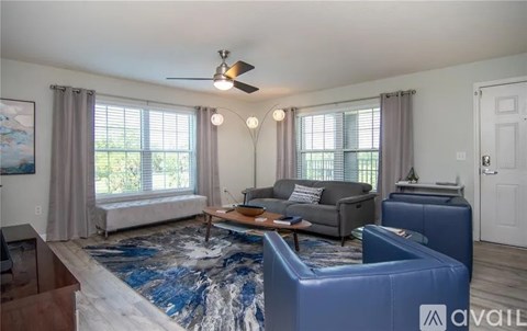 A living room with a grey couch and a blue rug.