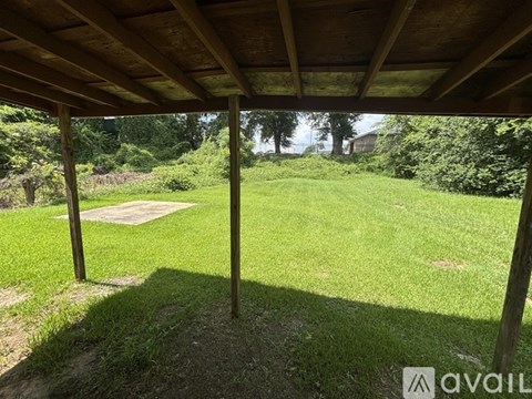 A wooden pergola over a grassy area with a tree and a shed in the background.