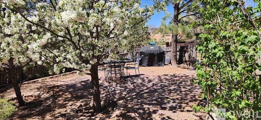 A tree with white flowers is in the foreground of a dirt area with a black tent and a building in the background.