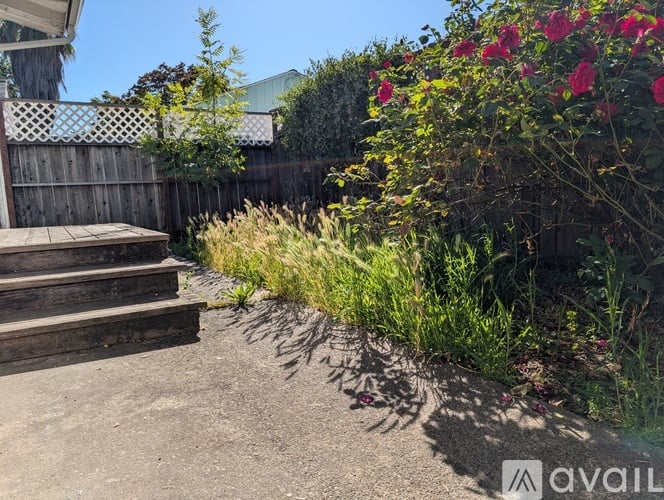 A backyard with a wooden deck and a fence.