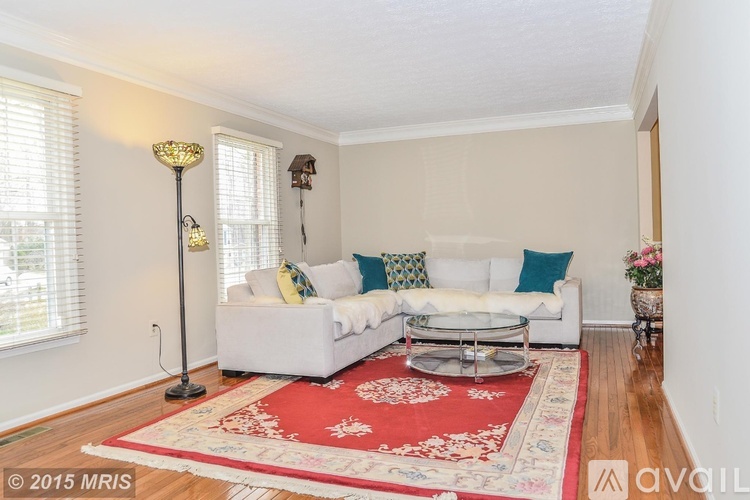 A living room with a white couch and a red rug.